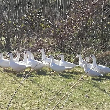 Bed & Breakfast La Corte