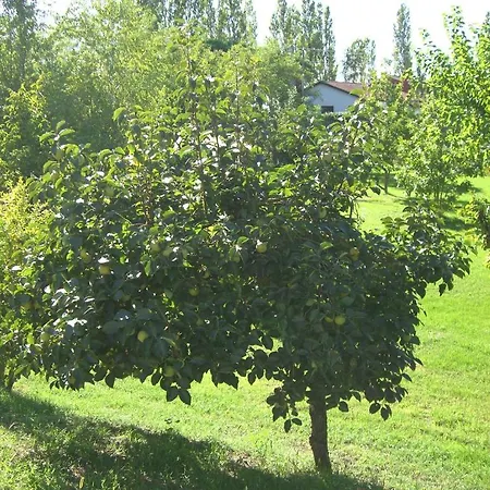 La Corte Bed & Breakfast *