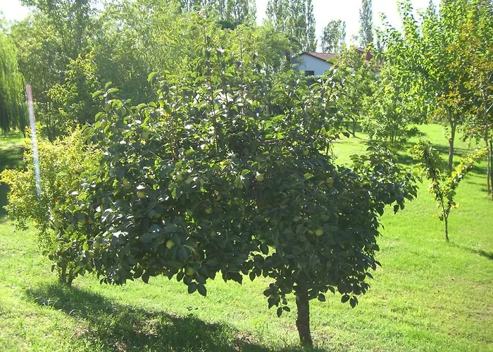 La Corte Bed and breakfast *